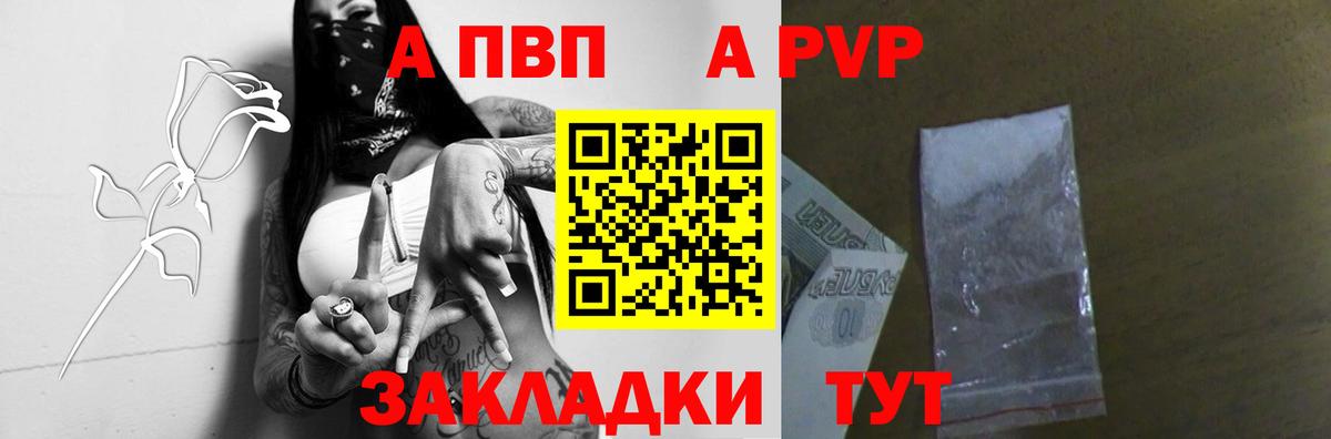 Альфа ПВП СК  Вход с VPN  Грозный  A-PVP СК  APVP СК 