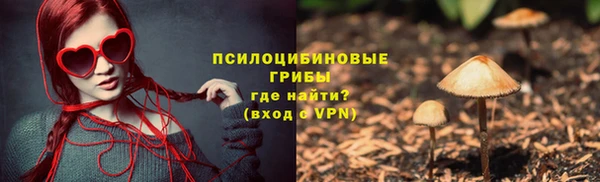 прущие грибы Алексеевка