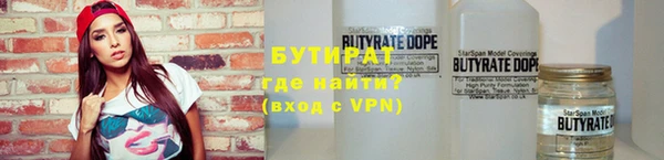 индика Абаза