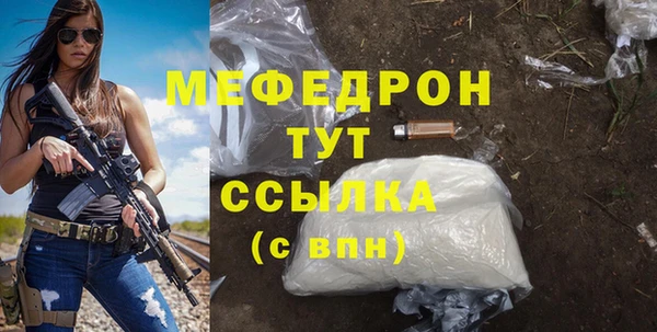 индика Абаза