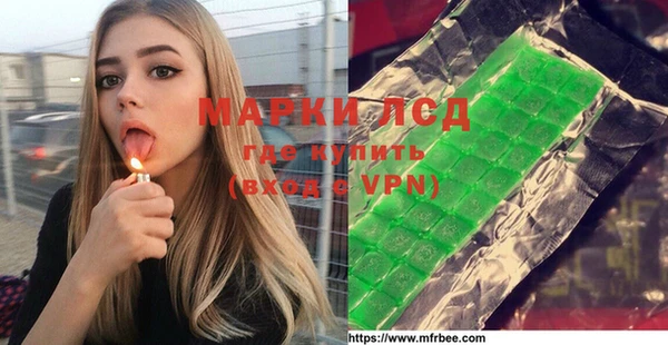 индика Абаза