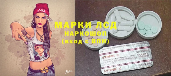 прущие грибы Алексеевка