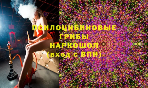 индика Абаза