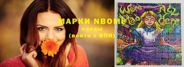 индика Абаза