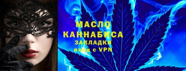 индика Абаза