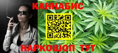индика Заволжье