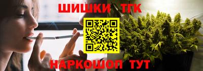 индика Заволжье