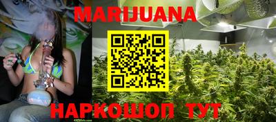 индика Заволжье