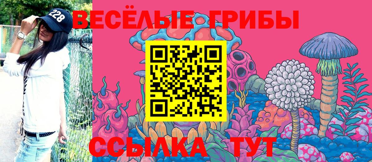 Псилоцибиновые грибы Psilocybe  Псилоцибиновые грибы Psilocybe  Грозный  Вход с VPN 