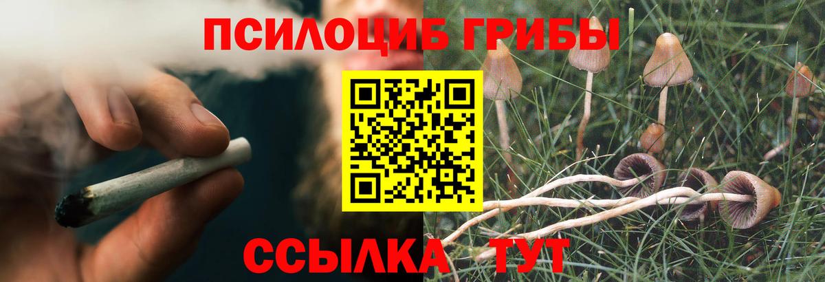 Галлюциногенные грибы Psilocybine cubensis Грозный